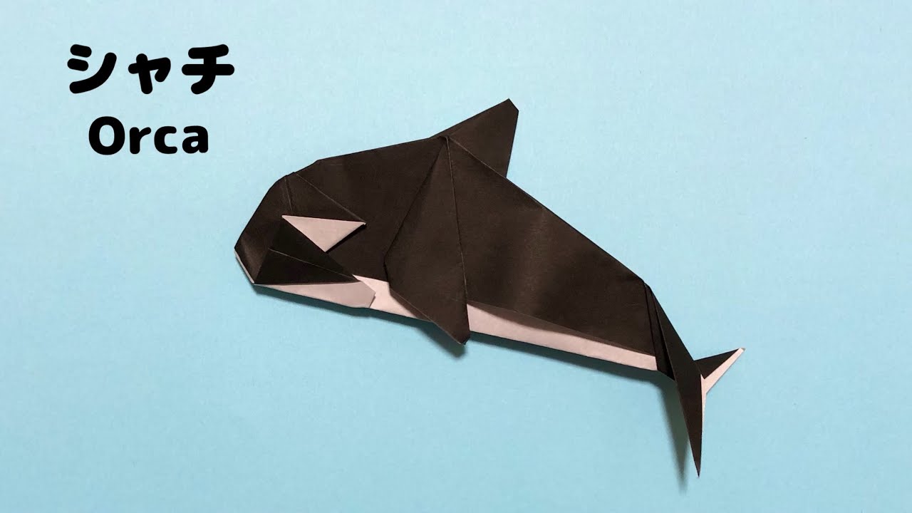 折り紙 海の生き物】かっこいい シャチの折り方 Origami Orca - YouTube