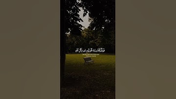 أفمن شرح الله صدره للإسلام||تلاوة خاشعة //بصوت صالح اليافعي 🎧أرح قلبك المتعب قليلاً🫀🌿