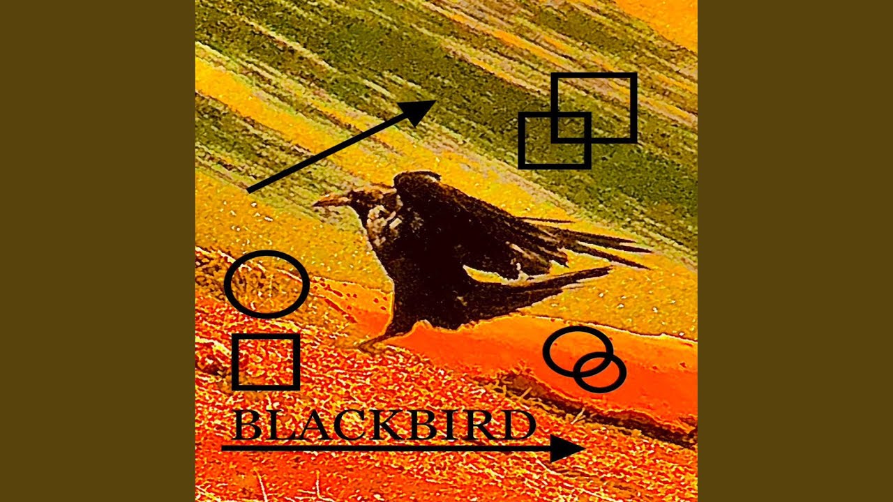Watch BLACKBIRD on YouTube Watch BLACKBIRD on YouTube