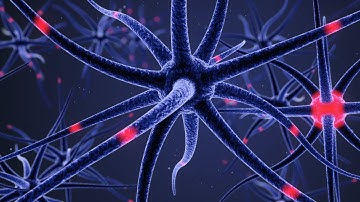 C4D - Brain Cell