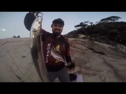 PESCARIA COM CLIENTES - Dicas técnicas e pontos de pesca no Costão da Taquaras Balneário Camboriú