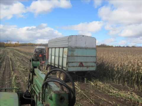 "Welcome to the Farm" The Brekveld Corn Harvest 2010