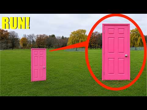If you ever see this Pink door in a park... DO NOT go through it!! (It's a trap)