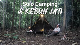 Solo Camping dikebun Jati
