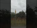 mon road trip au Nicaragua est fini
