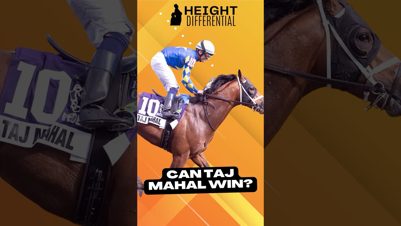 Can Taj Mahal Win the Preakness? | Husband Jockey & Wife Trainer Story