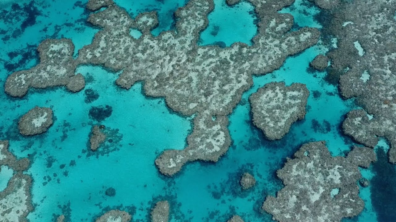 Bait Reef, Scuba Diving, Great Barrier Reef, Whitsundays, Australia