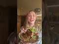 Pitcher plant update! #homejungle #pitcherplant #carnivoresplant #coolplants #plants