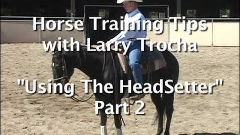 Horse Training Tips - Using A HeadSetter, part 2