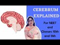 EXPLANATION OF THE CEREBRUM/PART OF THE FORE BRAIN/INTELLIGENT PART OF THE BRAIN
