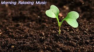 Soothing Piano Music - Soothing Du Duong Music, Relaxing Sleep, Relieving Stress