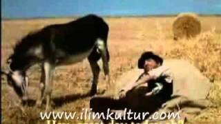 Eşşegin Saati Kaç Eşşegin Saati Kaç