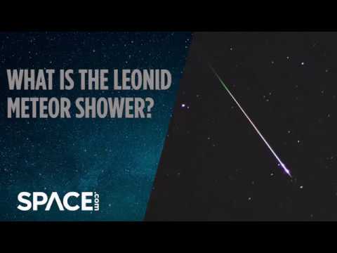 What is the Leonid Meteor Shower?