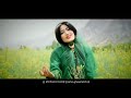 آهنگ لری و ترکی تقدیم نگاه زیباتون 