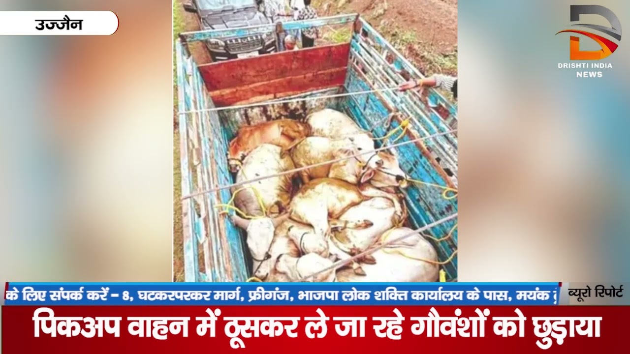 पिकअप वाहन में ठूसकर ले जा रहे गोवंशों को छुड़ाया
