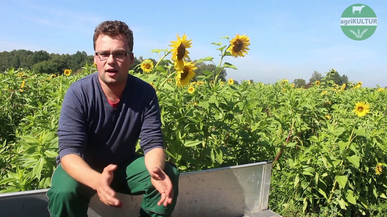 agriKULTUR: Dominic - Das Erdbeerjahr ist vorbei!