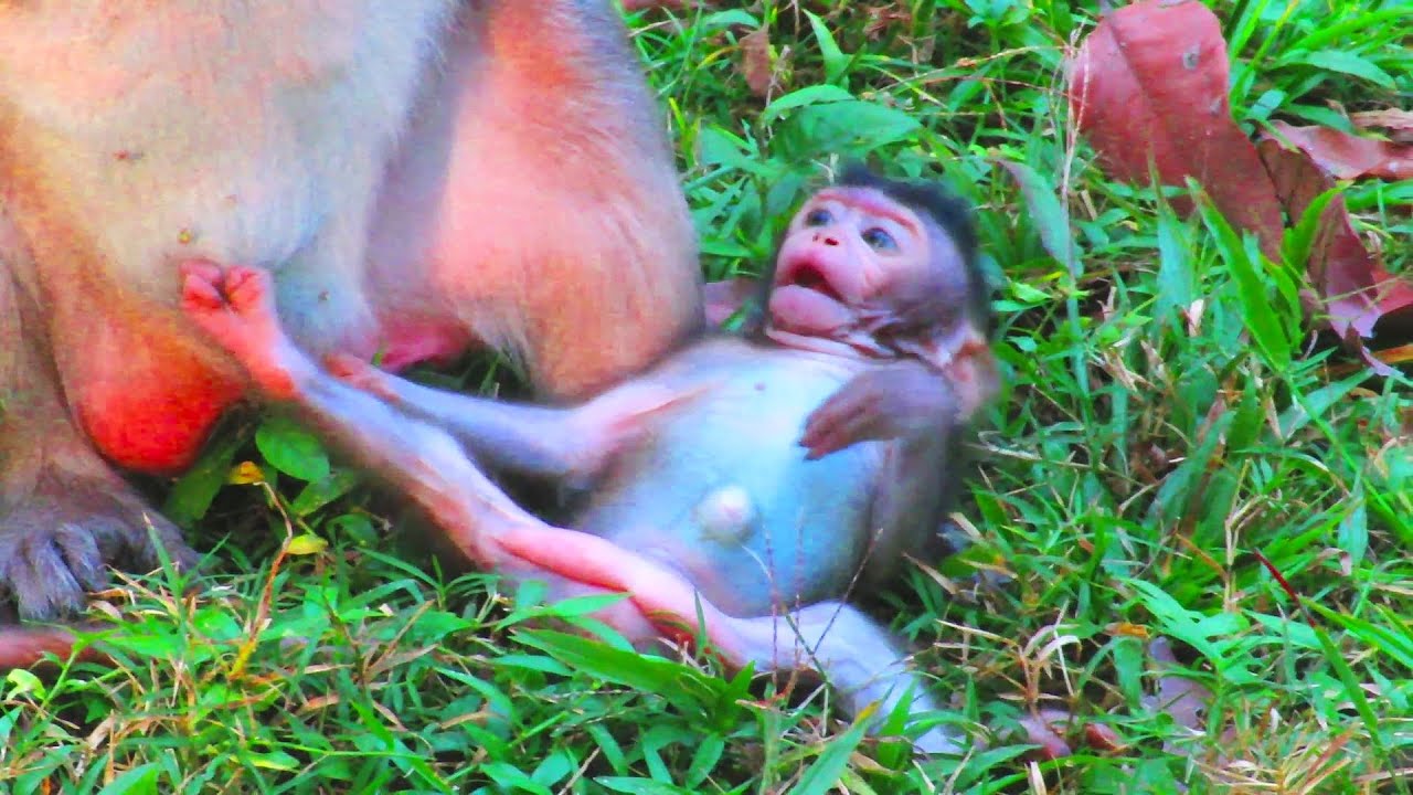 "OH God! 😱 Unbelievable Unfolds: What Just Happened?! 😨👀"