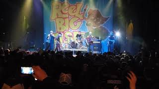 Reel Big Fish - Beer