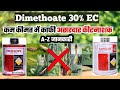 Ref:G0B3NWphdM0 Rogor/tafgor(dimethoate 30 ec) insecticide se kya kya fayde hai 