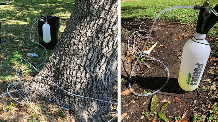 Ground Renovators - We are a tree and ornamental p...