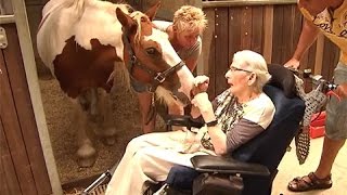 Бабушка с болезнью Паркинсона катается на лошади
