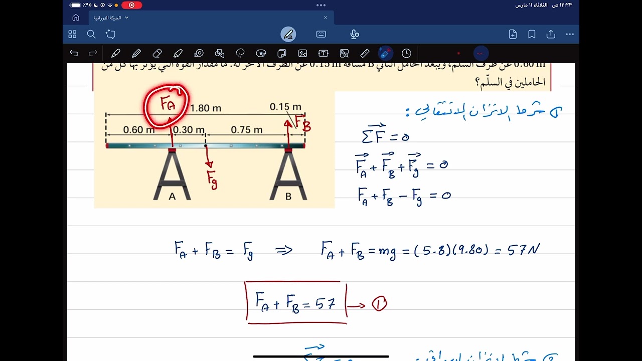 مثال 3 (الاتزان)