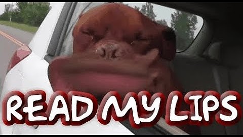 Read My Lips: dbx 10/20 RTA