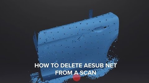 How to delete AESUB Net with target points from 3d scans