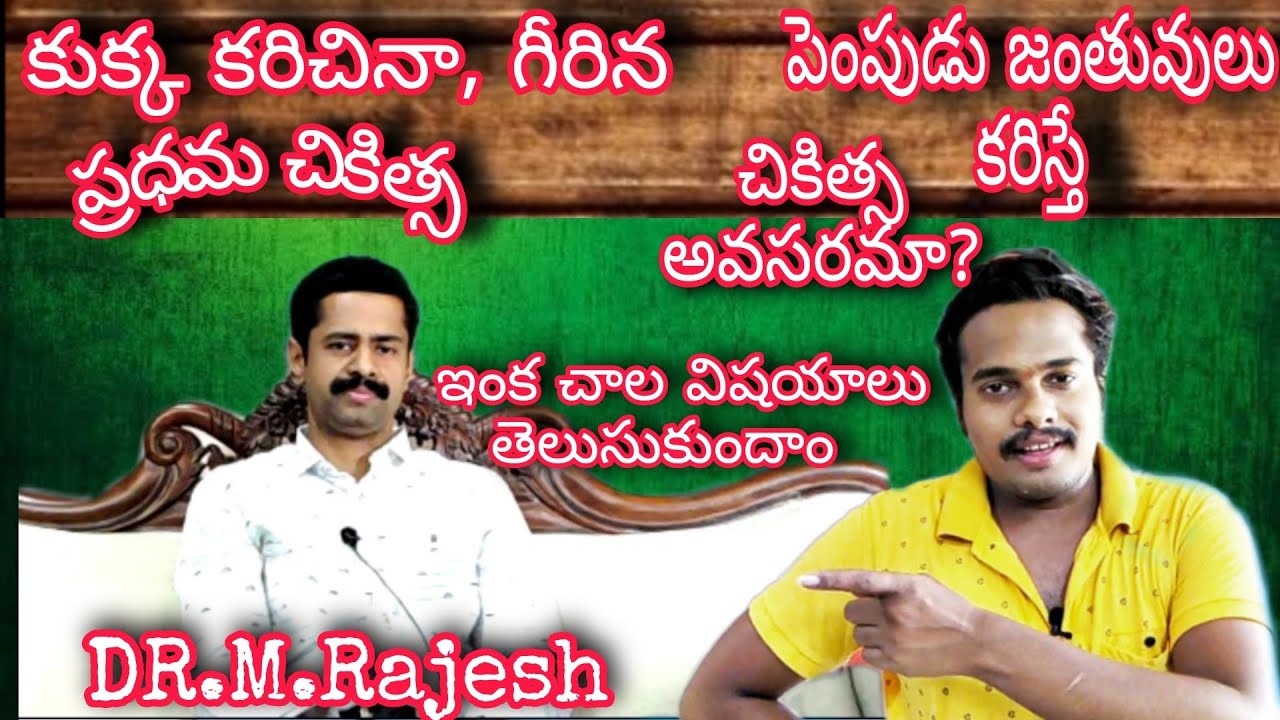 Dr.M.Rajesh కుక్క కరిస్తే ఎం చేయాలి Dog Bite Treatment In Telugu