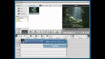 How to create Fast Motion effect in your video using AVS Video Editor?