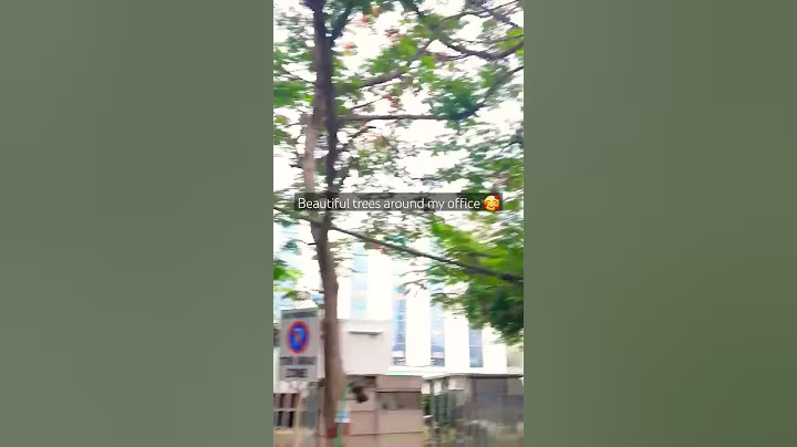 UPSC EPFO Office ke aaspaas  ki sundarta 🥰 #upsc #upscmotivation by AIR 63 AO/EO Anshumaan