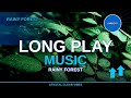 4K Rainy Forest - Ambient Space Music | 4 min