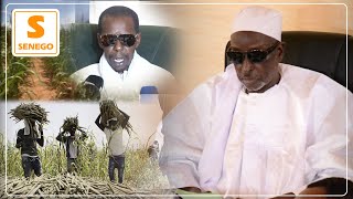 Champs Khelcom: Serigne Cheikh Saliou Mbacké donne rendez-vous le 23 octobre