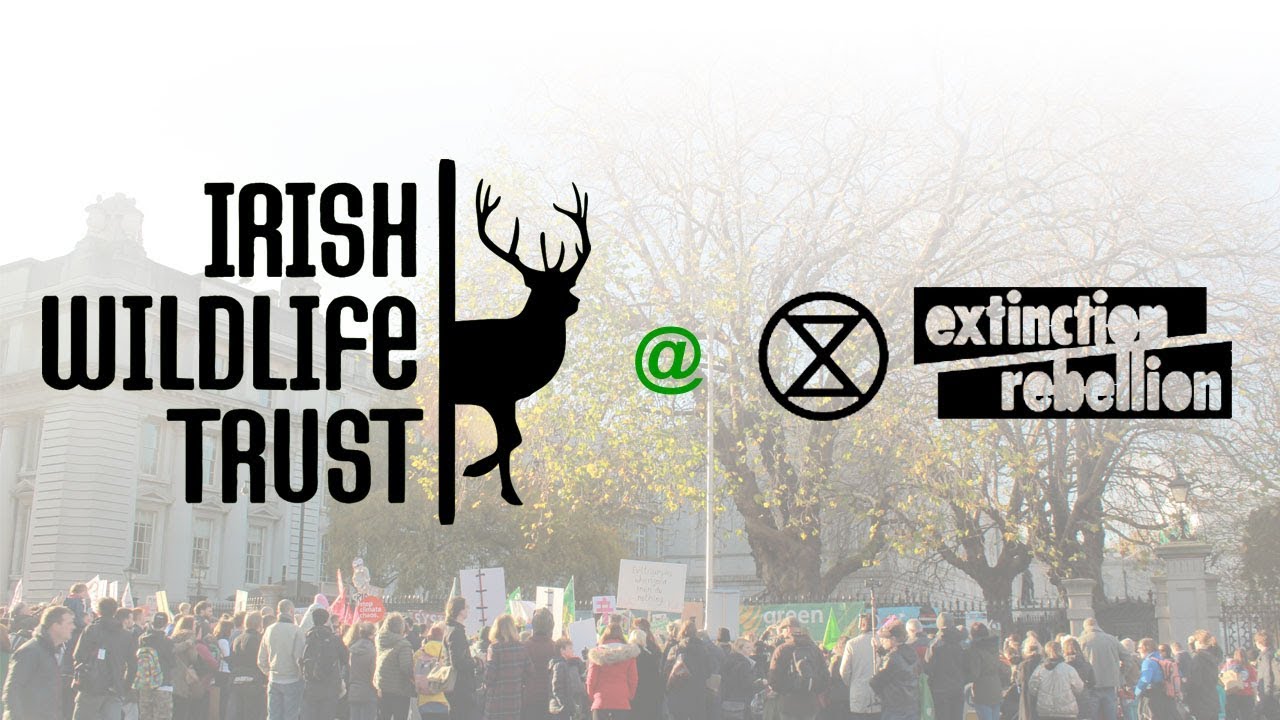 IWT at Extinction Rebellion Rally Dublin