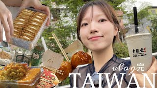 🫶아이러브🇹🇼대만여행 vlog ep.3完 | 라뜰리에 루터스, 트레블월렛 환전, 예스지 버스투어, 예류 지질공원, 스펀, 지우펀, 행복당, 왕자치즈감자🍪🏞️🧋🥠