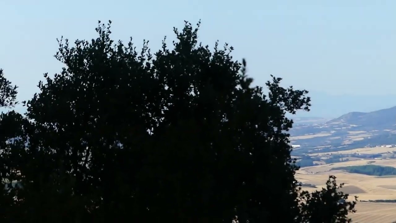 Barranco de Erbioz. ( Valle de Yerri ) ( Navarra ). 03/08/2025.