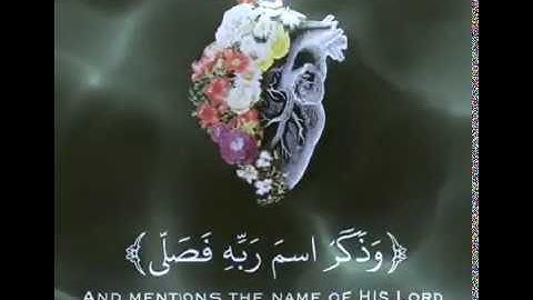 قَدْ أَفْلَحَ مَنْ تَزَكَّى وَذَكَرَ اسْمَ رَبِّهِ فَصَلَّى | سورة الأعلى | ماهر المعيقلي
