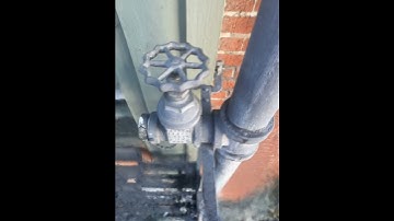 Instant NGP - Firehose Pipe Top