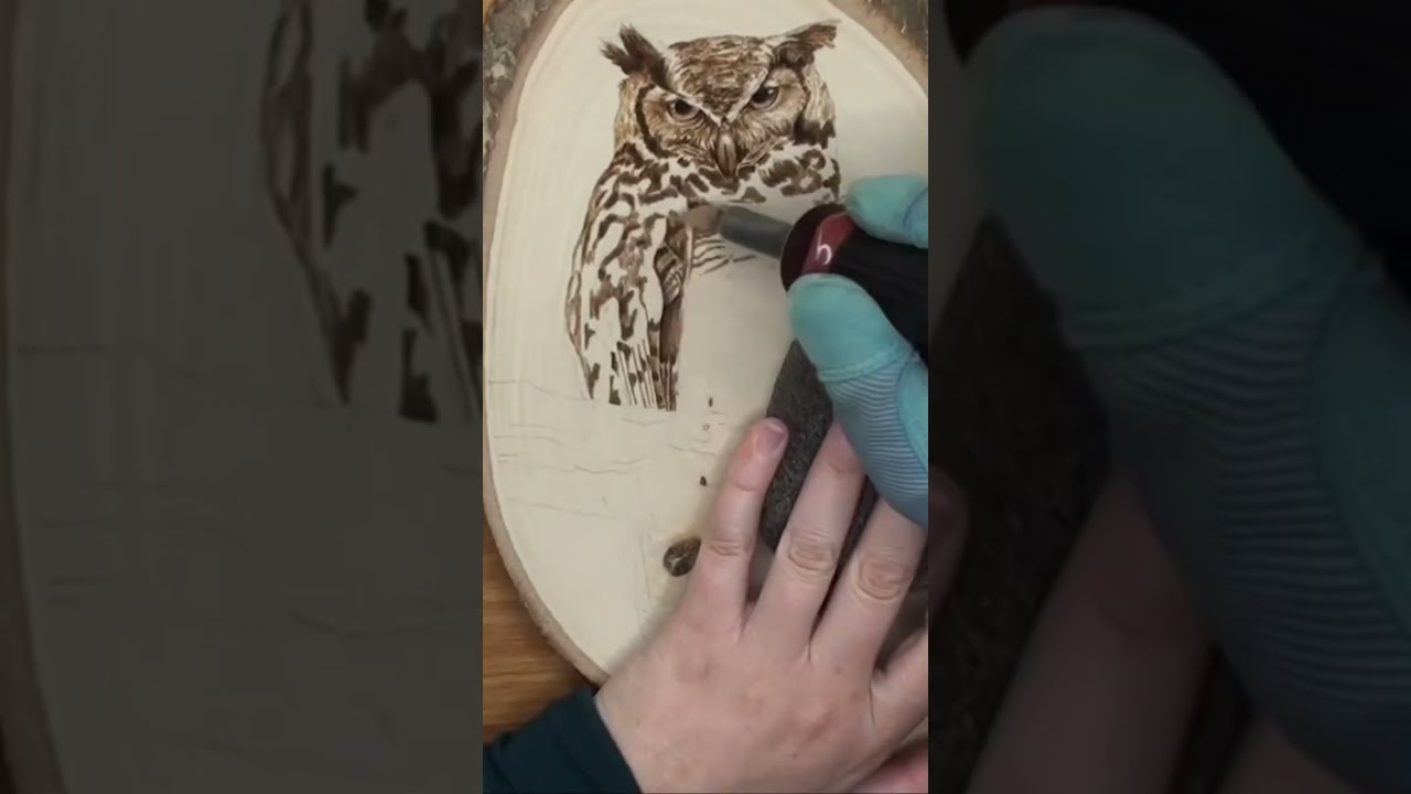 Wood Burning An Owl Pyrography Woodburning