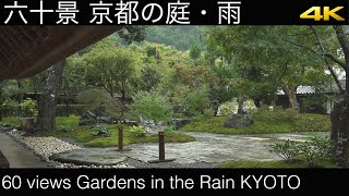 [4K] 60 Views Gardens in the Rain KYOTO　六十景　京都の庭・雨