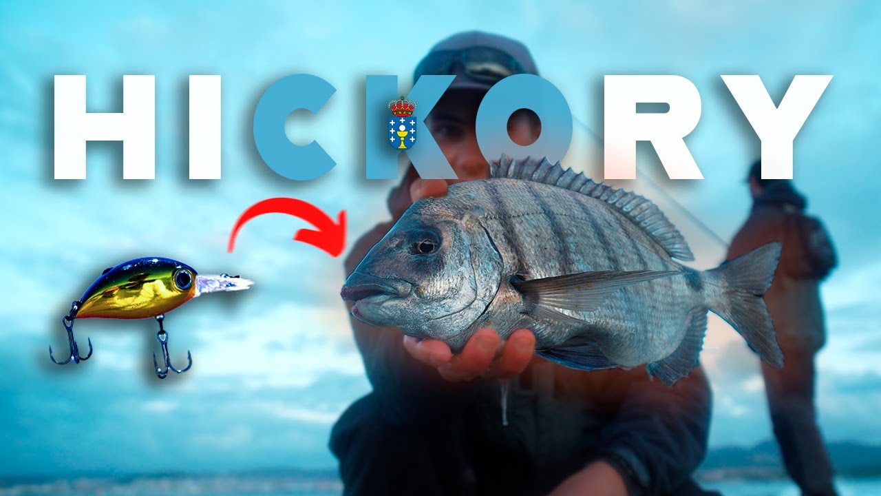 CRANKBAITS en GALICIA 🚨¿TENÍA RAZÓN LURED?
