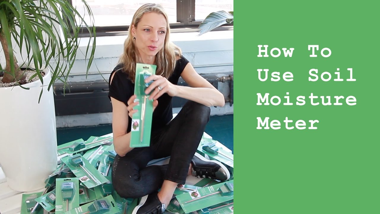 How To Use A Moisture Meter For Plants