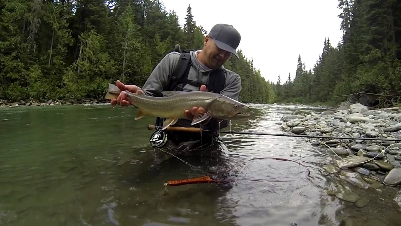 Fly Fishing for Bull Trout in Nothern BC with Loop Fly Tackle YouTube