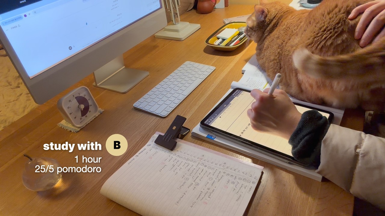 25/5 pomodoroㅣcalm, focusㅣ1 hour study with meㅣFeb 11