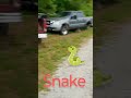 SNAKE 🐍🐍#snake #harmless #nature #education #good #control #rodents #automobile #mahansautosalvage