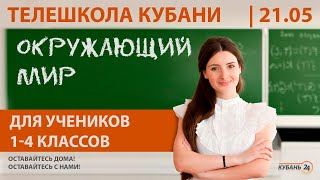 Уроки для учеников 1-4 классов. «Окружающий мир» за 21.05.20 | «Телешкола Кубани»