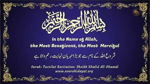 سورة حم السجدة  الشيخ خالد الغامدي 🌹
