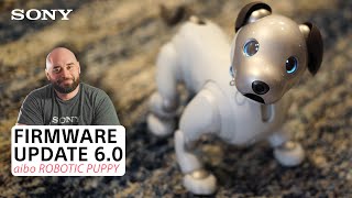 Sony Aibo Robotic Puppy Firmware Update 6.0 Overview