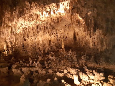 Video: Vườn quốc gia Carlsbad Caverns của New Mexico