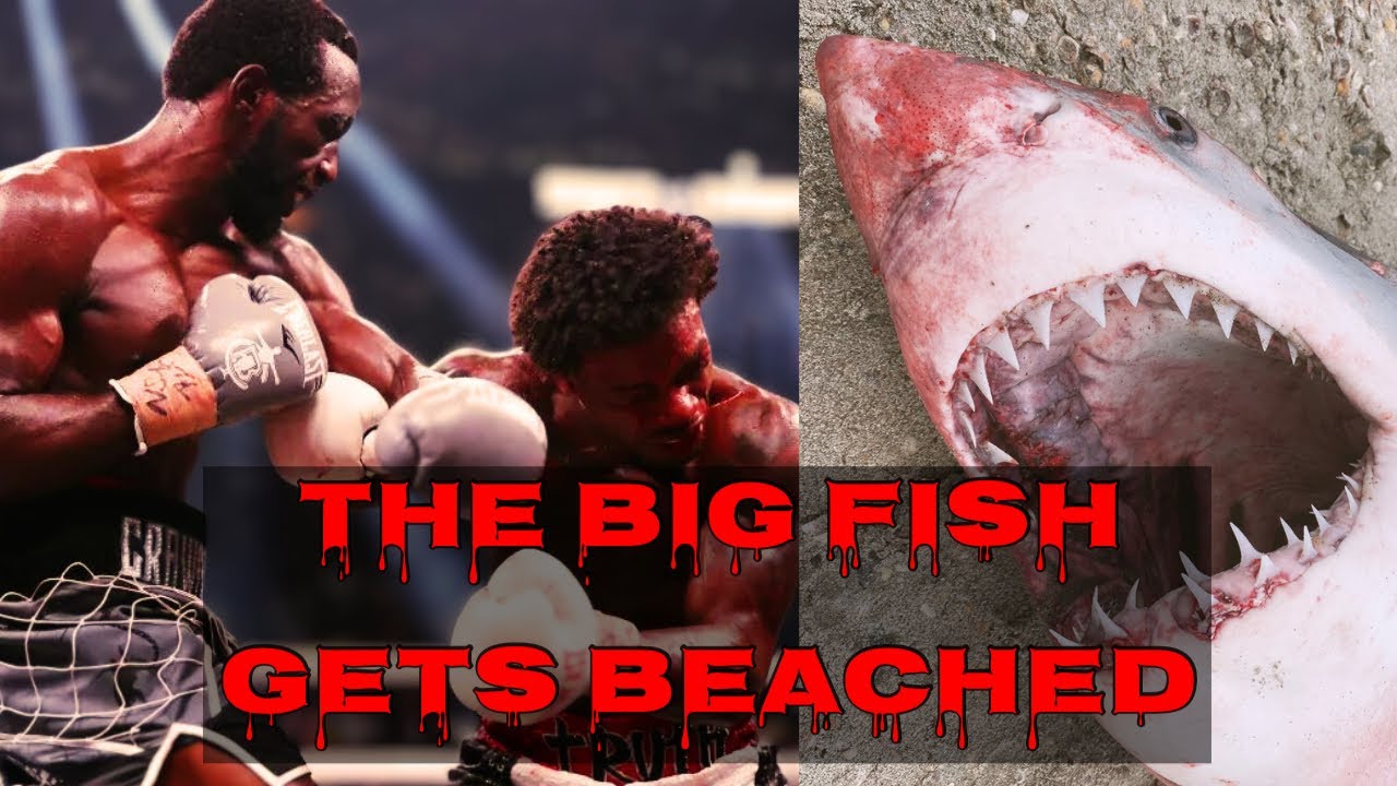 TERENCE CRAWFORD DISMANTLES ERROL SPENCE IN ONE SIDED BEATDOWN TO CLAIM 2X UNDISPUTED STATUS